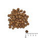 VET EXPERT Raw Paleo Healthy Grain Puppy Salmon and barley