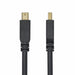 VGA кабел Startech DP14MDPMM10F Черен 3 m
