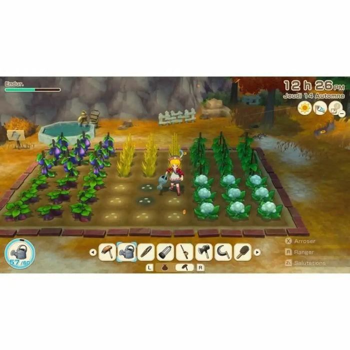 Видео игра за Switch Just For Games Story of Seasons Grand