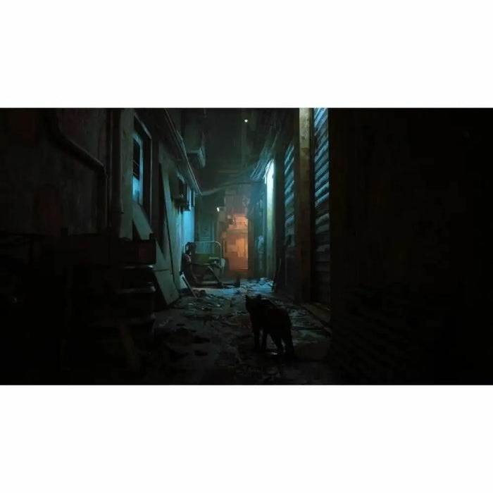 Видео игра за Switch Just For Games Stray