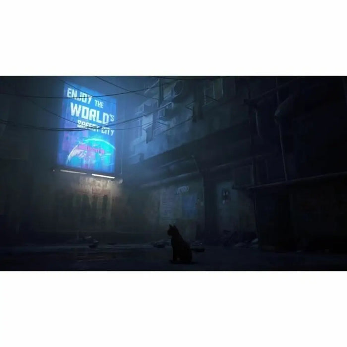 Видео игра за Switch Just For Games Stray