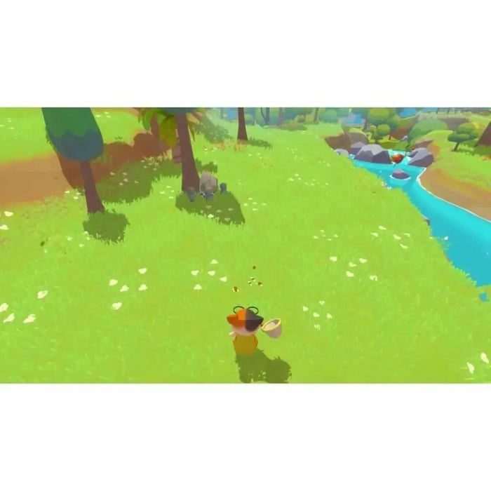 Видео игра за Switch Microids Petit Island