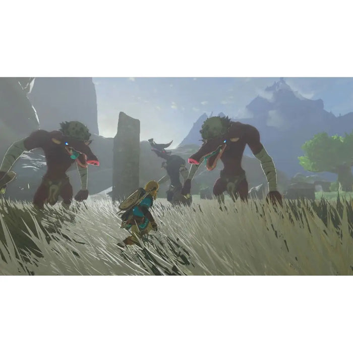 Видео игра за Switch Nintendo TLOZ TEA OFTKIN