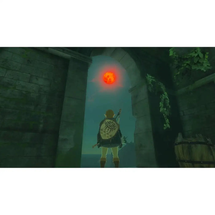 Видео игра за Switch Nintendo TLOZ TEA OFTKIN