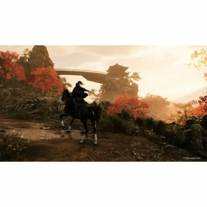 Видеоигра PlayStation 5 Sony Rise of the Ronin (FR)