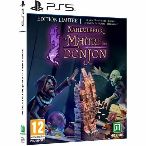 Видеоигра PlayStation 5 Microids Naheulbeuk: Le Maitre Du