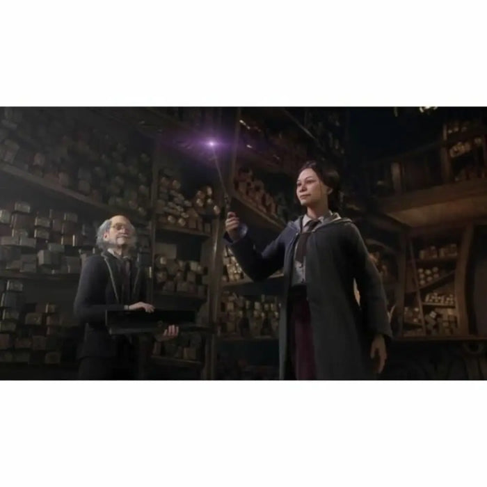 Видеоигра PlayStation 4 Warner Games Hogwarts Legacy: The