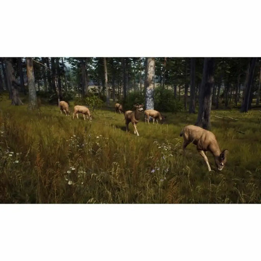Видеоигра PlayStation 5 THQ Nordic Way of the Hunter Wild