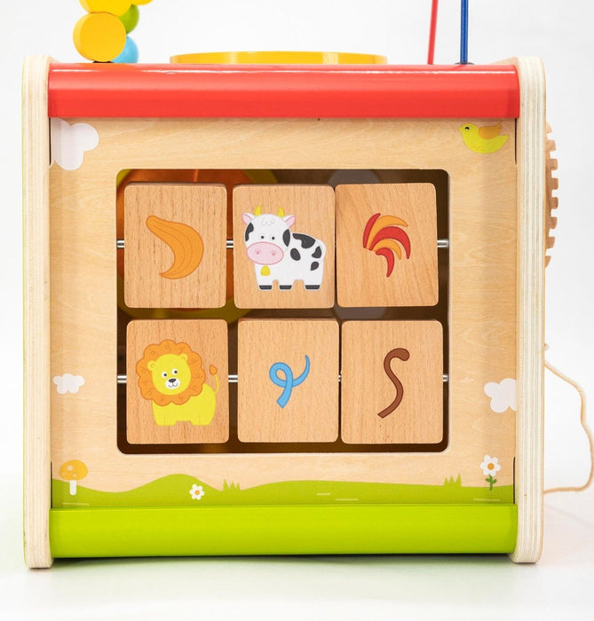 Дървен дидактичен куб 9 в 1 Viga Toys