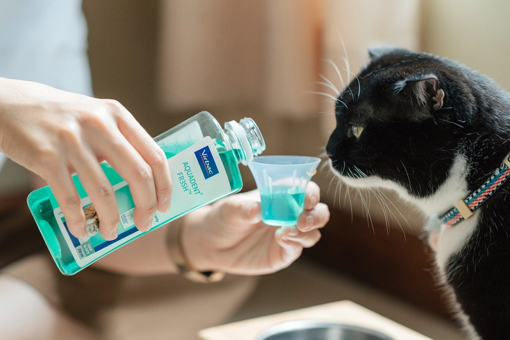 VIRBAC Vet Aquadent FR3SH - разтвор за дентална хигиена за кучета и котки – 250 мл