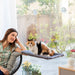 Висящ Хамак за Котки Catlax InnovaGoods