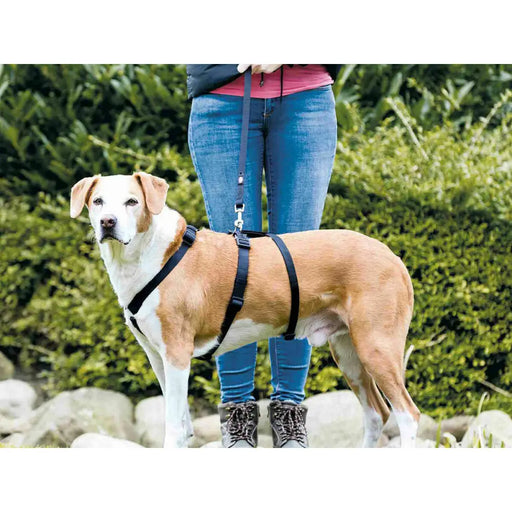 Водач за куче Trixie Stay Черен S/M