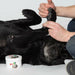 Восък Pawz MAXWAX 60 g