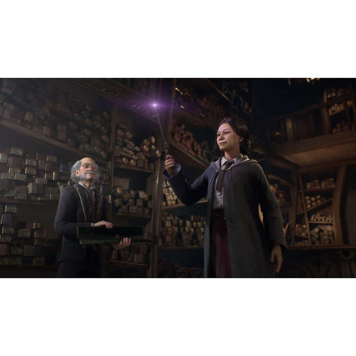 Игра Hogwarts Legacy (PS4)