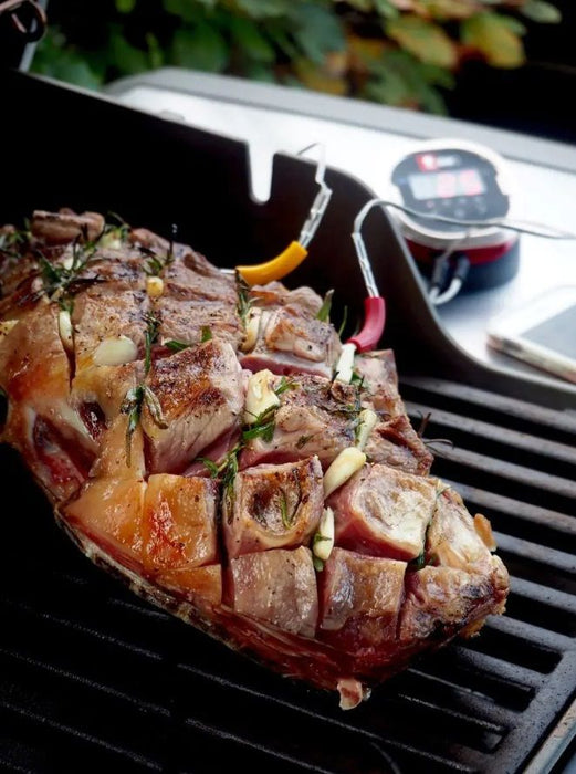 Температурна сонда за месо Weber - iGrill, 4 цветни ленти