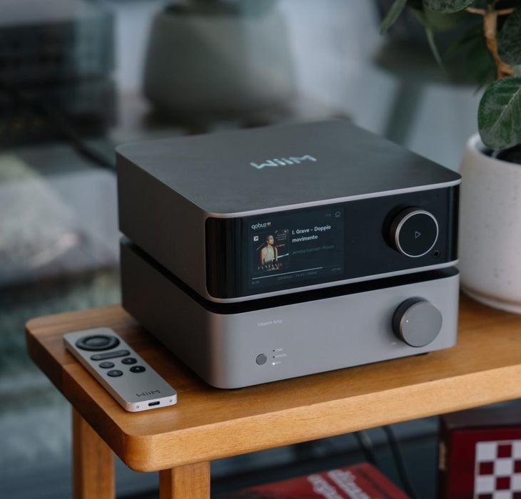 Дистанционно управление WiiM - Voice Remote 2, сребристо