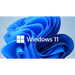 Windows 11 Pro за Wrkstns 64-битов английски 1pk DSP OEI DVD