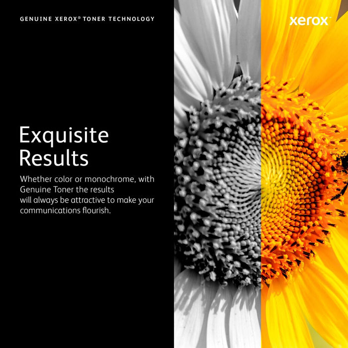 Оригиална касета за мастило Xerox 116R00039