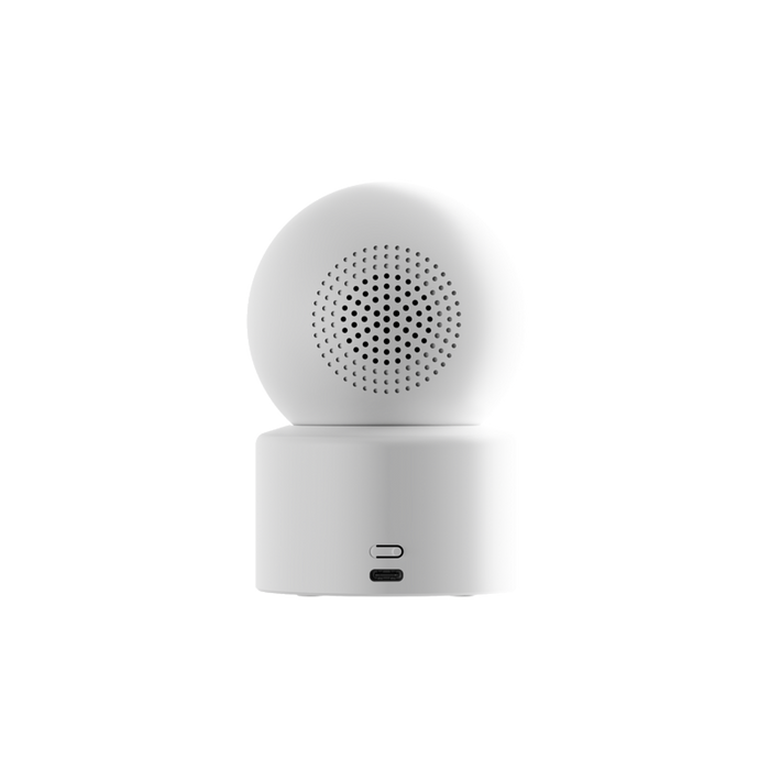IP камера Xiaomi C302 BHR08SVGL