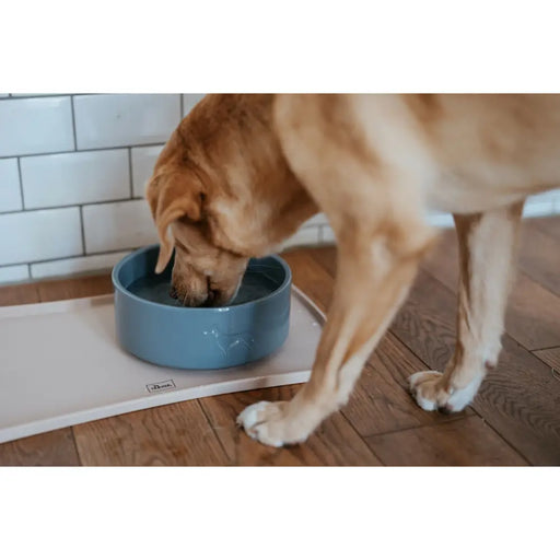 Хранилка за кучета Hunter OSBY GLAZED Син Керамика 2,5 L
