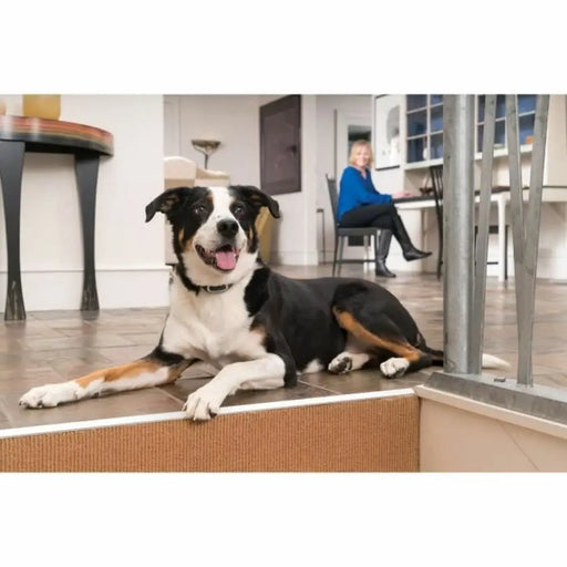 Яка против отблясъци PetSafe Син