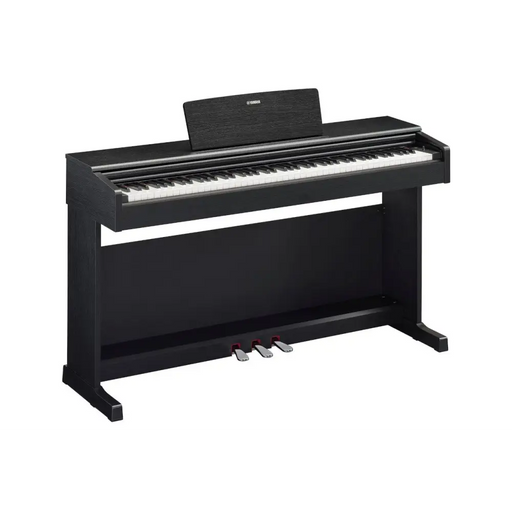 Yamaha ARIUS YDP-145B - digital piano