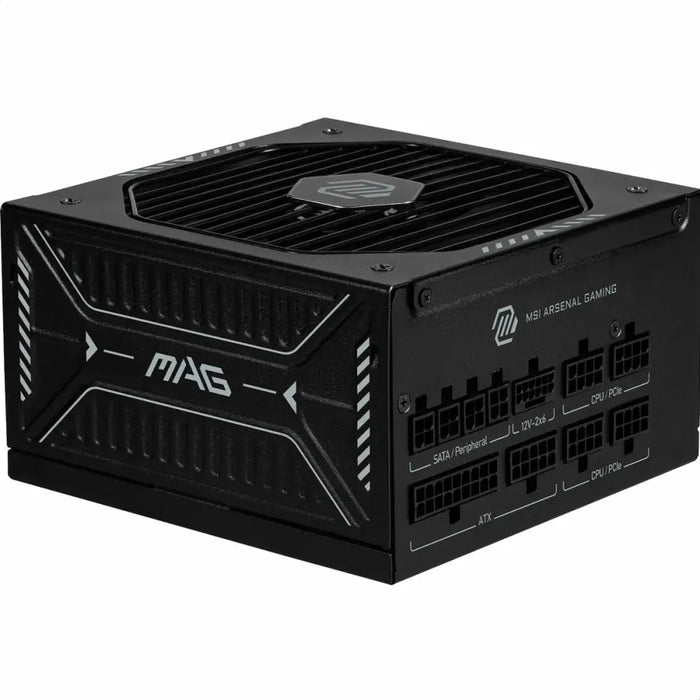 Захранване MSI 306-7ZP1B21-CE0 1000 W 80 Plus Gold ATX