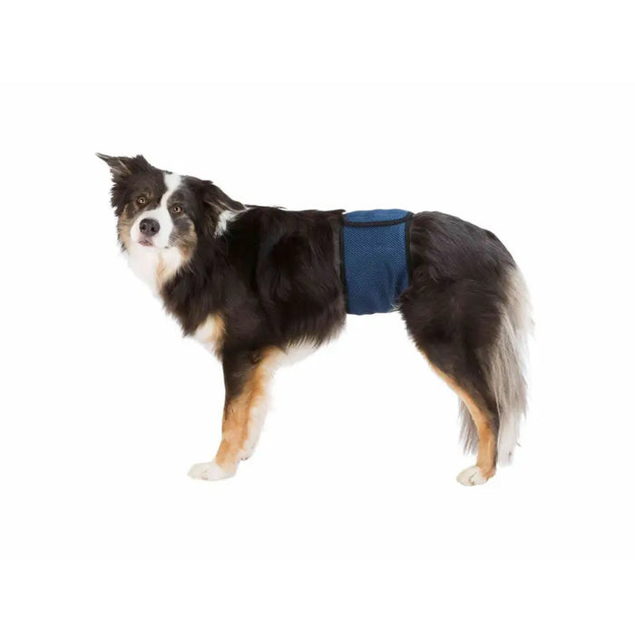 Закрепваща лента Trixie 45-55 cm Мъжки Корем