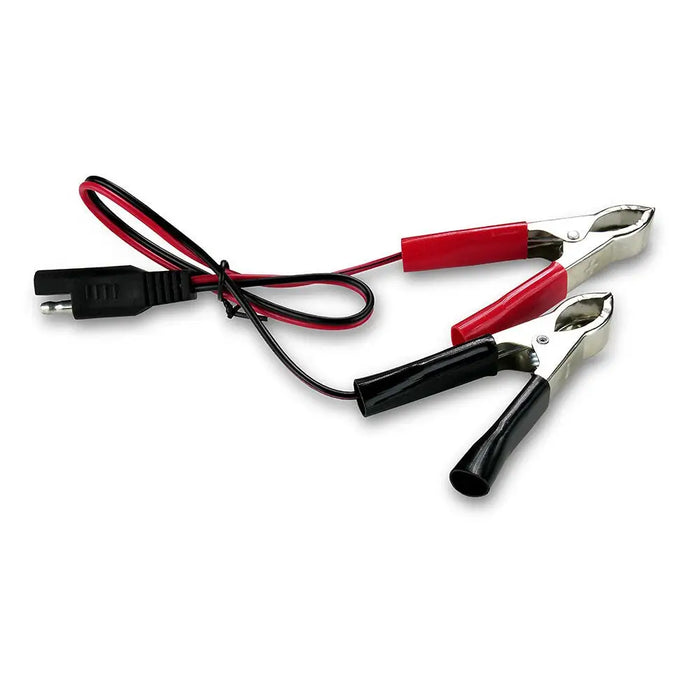 Зарядно за автомобилен акумулатор everActive CBC1 6V/12V