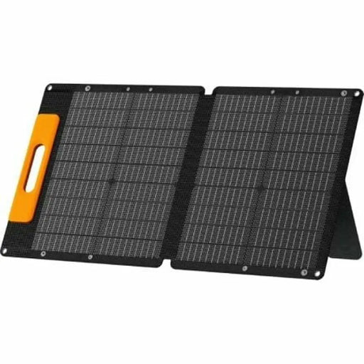 Зарядно за стена Wonder WS60