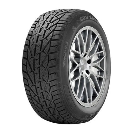 ЗИМНА ГУМА RIKEN 195/65 R15