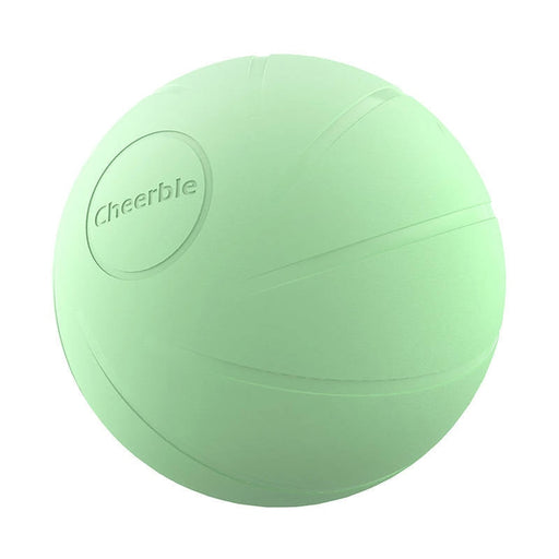 Интерактивна топка за домашни