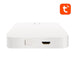 Avatto GW02 ZigBee 3.0 BLE SigMesh WIFI TUYA