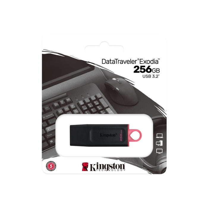 USB Памет KINGSTON 256GB USB3.2 Gen1 DataTraveler