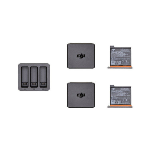 DJI Комплект за зареждане - зарядно + 2 батерии за DJI Osmo 